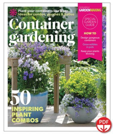 Many people new to gardening start with containers. The Container Gardening Guide has been directed by Garden Making Editor-in-chief Beckie Fox to appeal both to new gardeners and experienced hands looking for some new plant combinations to try out.
