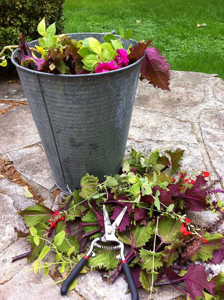 Chopped-up annuals, ready to be composted. (Garden Making photo)