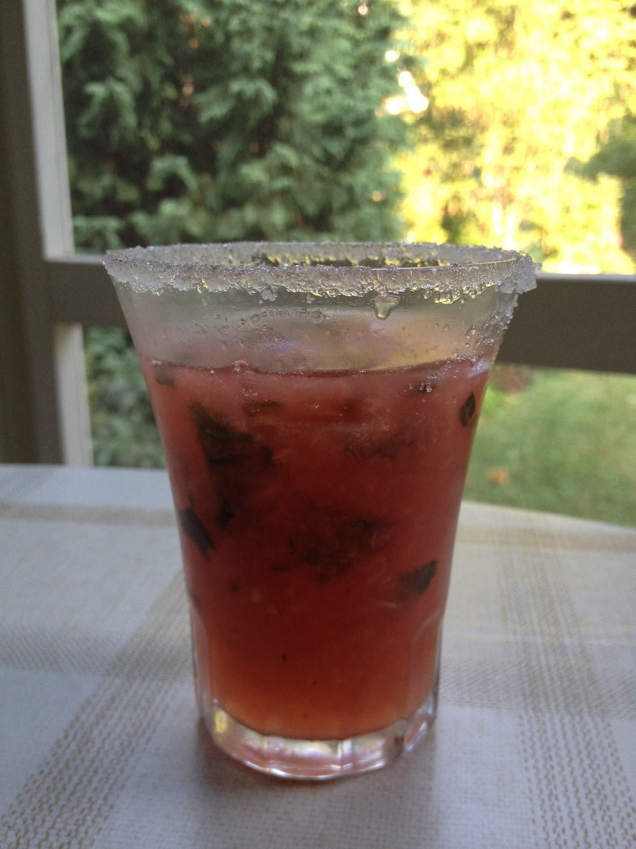 We didn't have the patience to allow the ‘Watermelon Slush’ to freeze as recommended, but the resulting ‘Watermelon Mojito’ still tasted delicious.