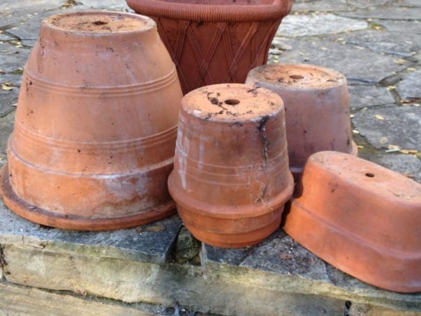 Clay pots last longer when emptied, dried and stored upside down. (Garden Making photo)