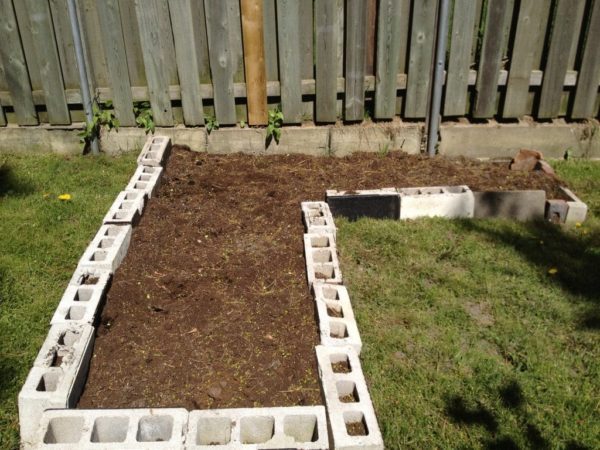 We made our raised bed an “L” shape, to take advantage of the back fence, which can be used as a support for beans. At this point, our bed is waiting for more soil, and then planting.