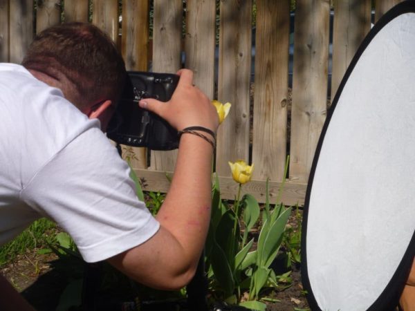 Photographers use reflectors like the one Paul is using in this shot to cast some light on the shadows on these tulips.