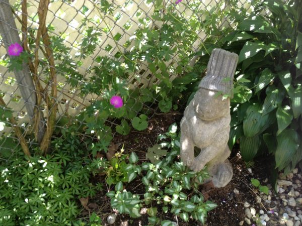 This garden had many beautiful sculptures and pieces of garden art, but this bunny, with a toque replacing his broken ears, was a favourite of mine.