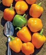 'Tinker Bell' peppers (Photo from Veseys Seeds)