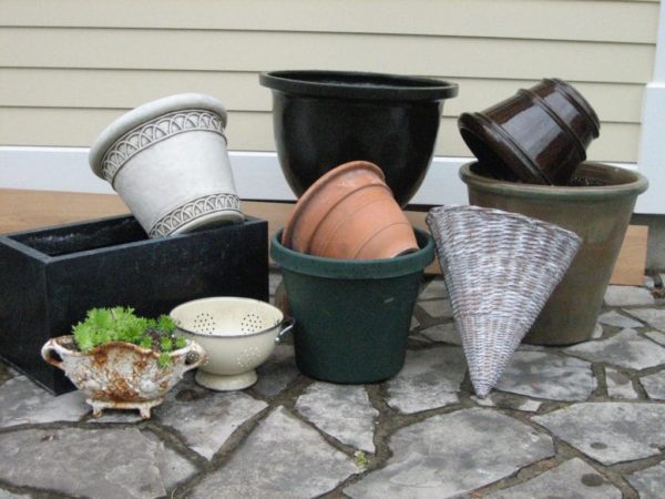 Choose containers that are practical and also suit your garden style.