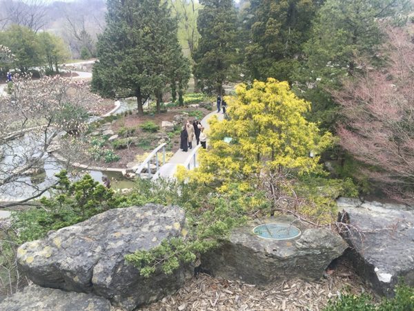 Rejuvenated RBG Rock Garden in late April 2016. (Garden Making photos)