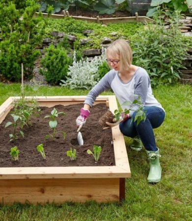 This is the first book for Tara Nolan, a Dundas, Ontario-based garden writer with a sizeable collection of raised beds. She is a co-founder of SavvyGardening.com, does work for the Canadian Garden Council and volunteers at the Royal Botanical Garden in Burlington/Hamilton.