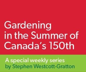 Gardening in the summer of Canada's 150th