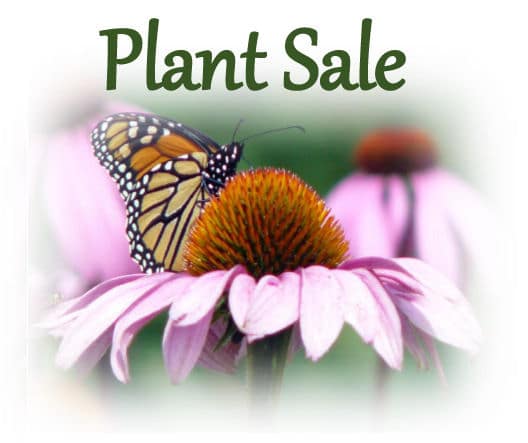 plant sales