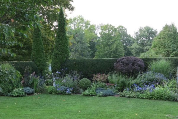Two tall cedars act as punctuation in this large garden, and also signal where the entrance is to the vegetable garden on the other side of the hedge.