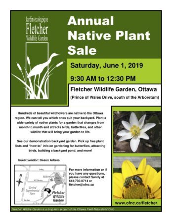 Fletcher plant sale