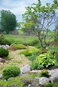 Whistling Gardens Feng Shui for Harmony in the Home and Garden