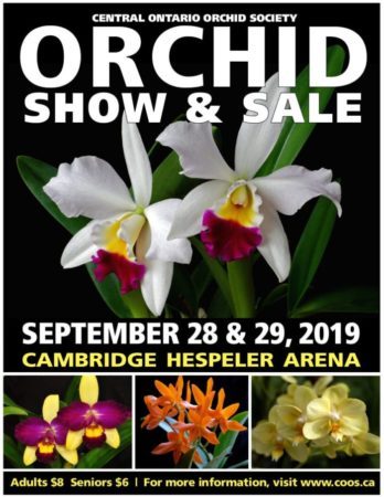 Central Ontario Orchid Society (COOS)