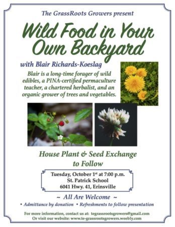 Wild Food in Your Own Backyard