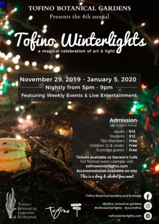 Tofino Winterlights