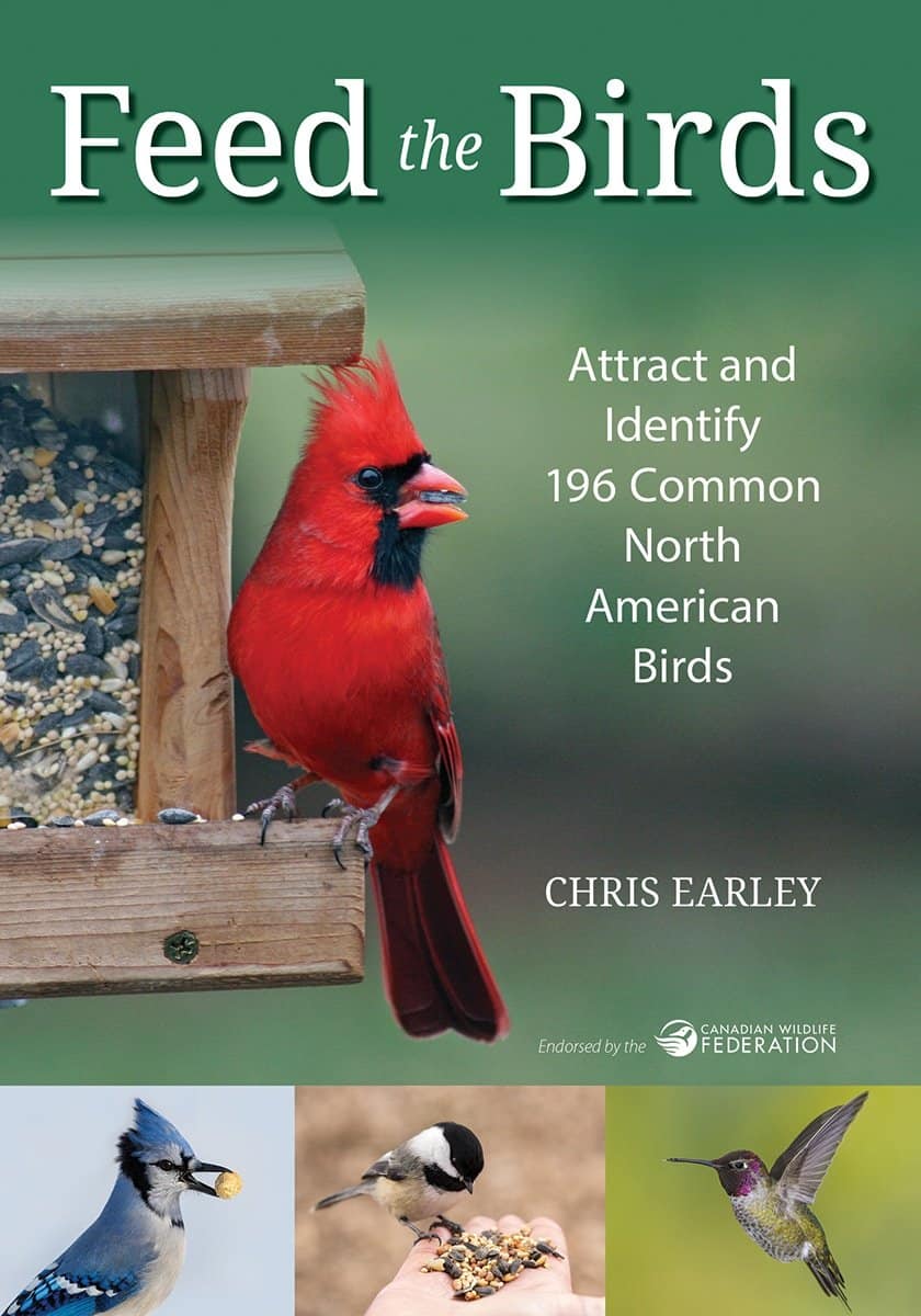 Feed the Birds book cover