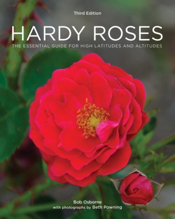 hardy roses book
