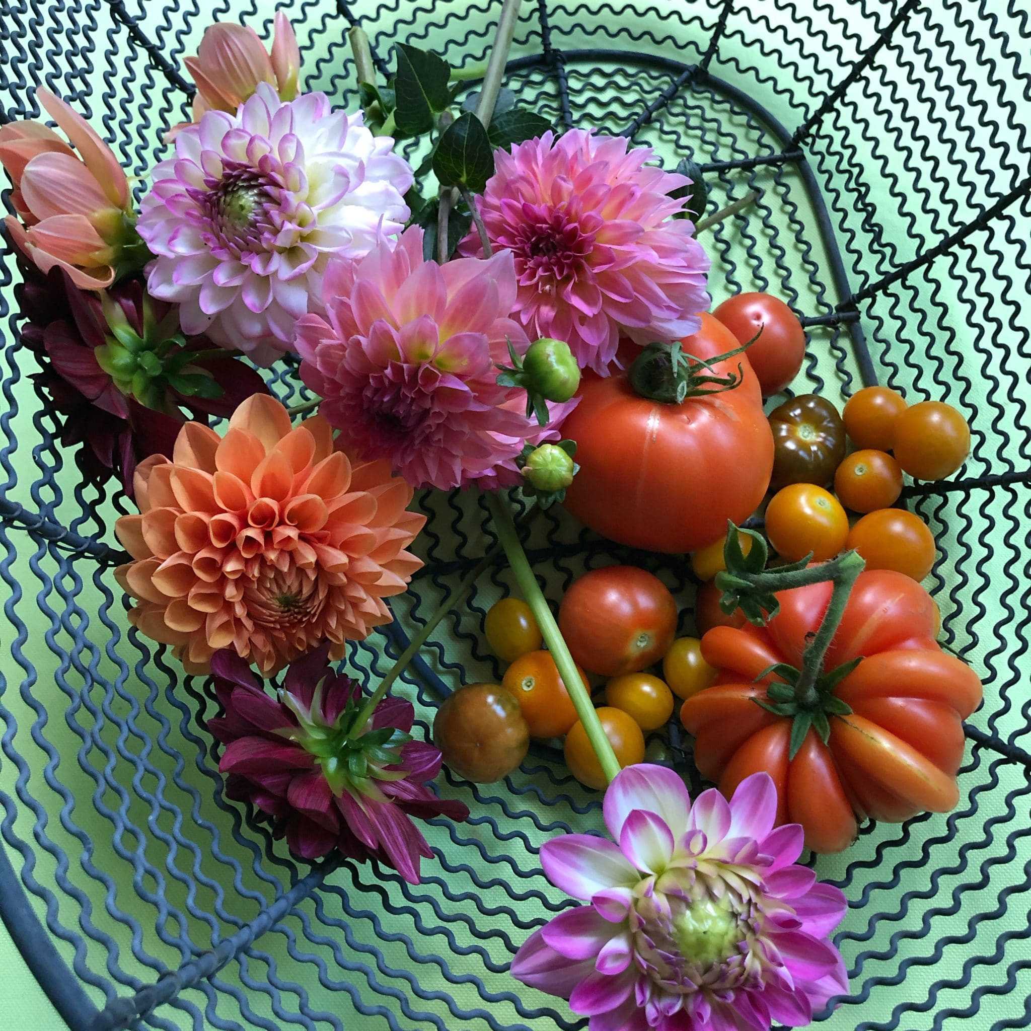 flowers and tomatoes
