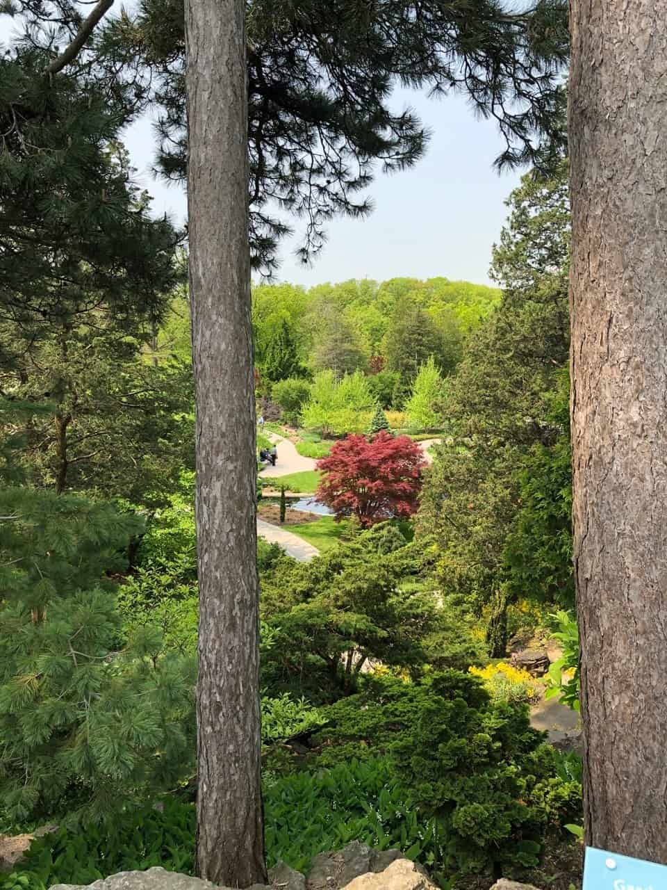 Looking down into the Rock Garden at Royal Botanical Gardens in Burlington, Ontario, in late May 2019.