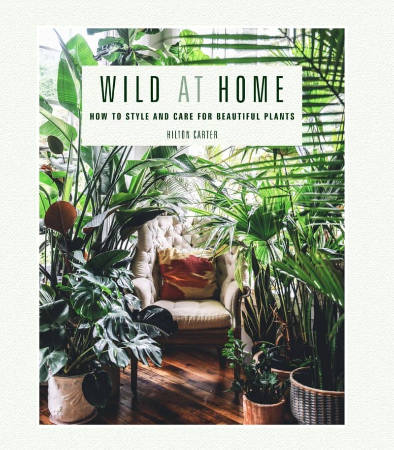 Wild-at-Home-book-cover