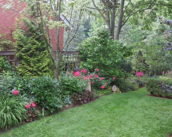 perennial garden border