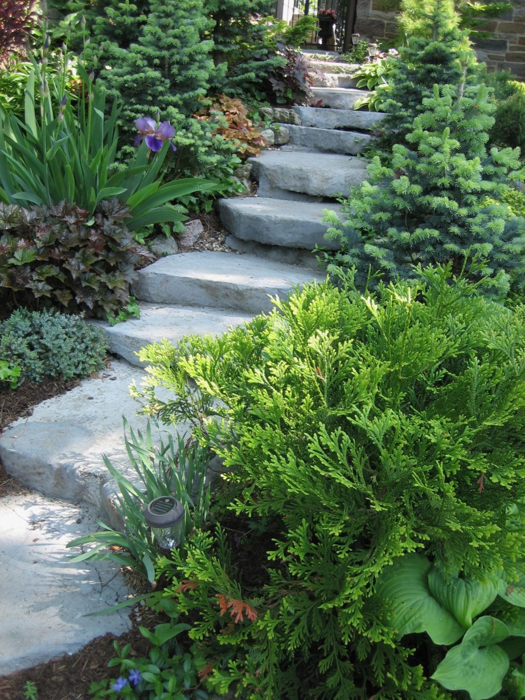 steps in garden