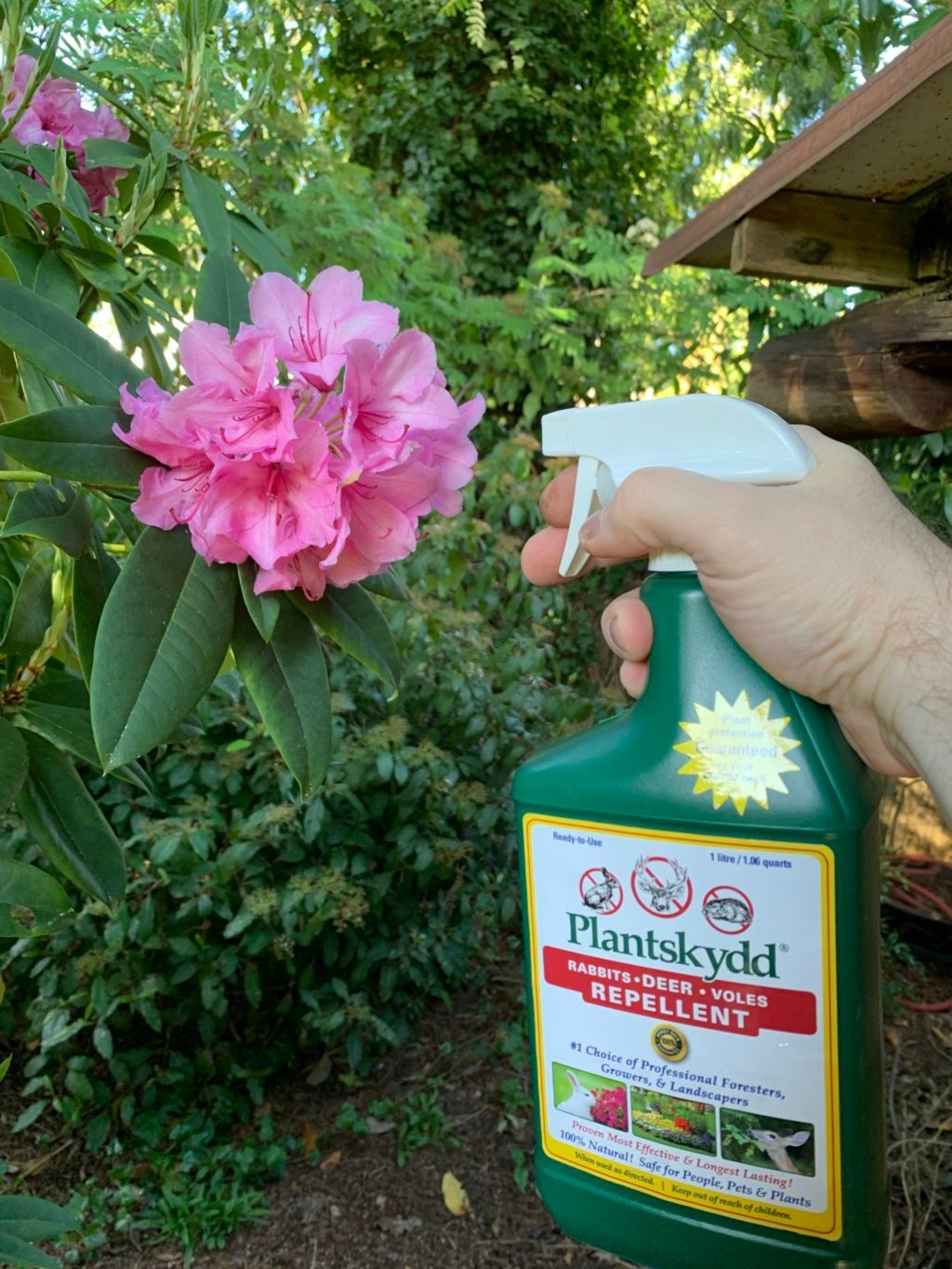 Plantskydd-rhodo-spray