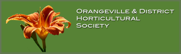 orangeville logo_hort