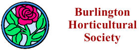 burlington hort