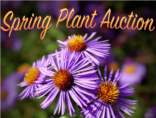 Ottawa Horticultural Society Spring Plant Auction