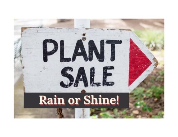 plant sale rain or shine