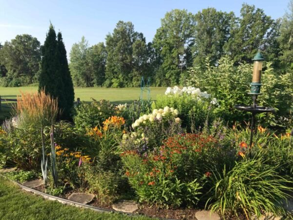High Performance, Low Maintenance Plants with Master Gardener Lee Ann Smith