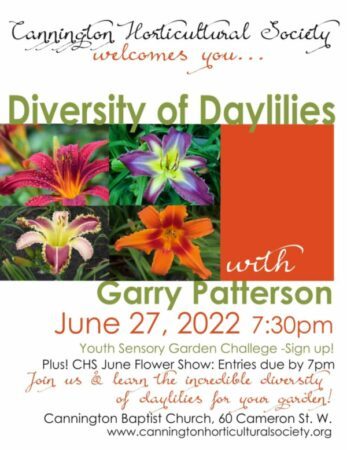 Cannington June Meeting: Diversity of Daylilies